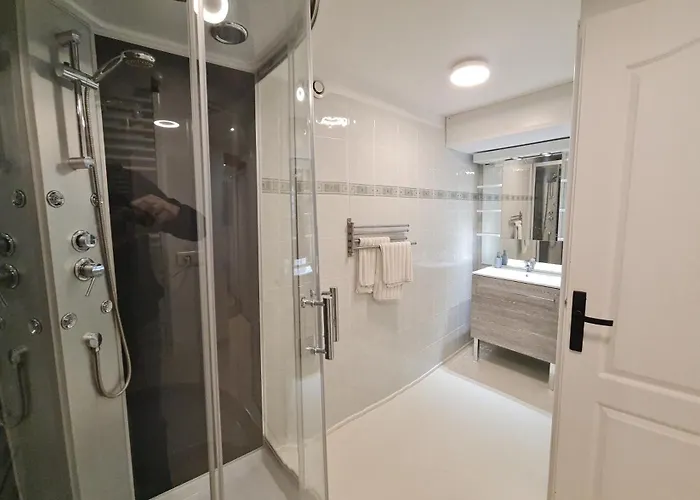 Le Souplex Apartment Troyes